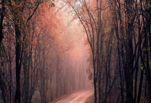 欧亿体育:西媒曝皇马国家德比战术:顶住巴萨前60分钟猛攻,持久战取胜.