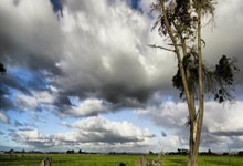 欧亿体育:【河南话中超】青岛西海岸3-3上海海港,年轻门将还得练啊!.